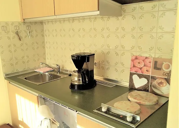 Apartment Appartementhaeuser Herbert Und Walter Bad Fussing